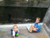 The_kids_loved_the_NC_aquarium.JPG (264978 bytes)