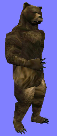 Someone finally found a BEAR!!!